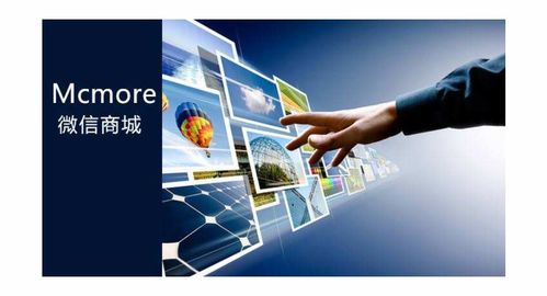 數(shù)碼電腦企業(yè)商情與信息技術(shù)發(fā)展趨勢分析