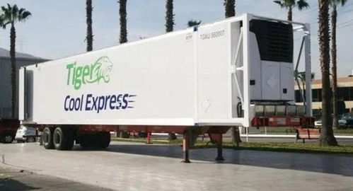 十年堅(jiān)守難抵行業(yè)寒流 Tiger Cool Express倒閉折射貨代業(yè)轉(zhuǎn)型之痛
